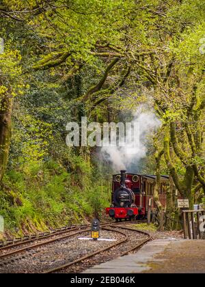 Dampflokomotive Nr. 2 Dolgoch auf der Talyllyn-Bahn Ankunft am Bahnhof Abergynolwyn in Snowdonia. Dolgoch wurde 1866 von Fletcher Jennings gebaut. Stockfoto