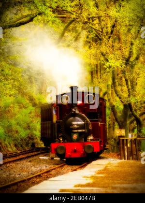 Dampflokomotive Nr. 2 Dolgoch auf der Talyllyn-Bahn Ankunft am Bahnhof Abergynolwyn in Snowdonia. Dolgoch wurde 1866 von Fletcher Jennings gebaut. Stockfoto