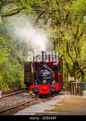 Dampflokomotive Nr. 2 Dolgoch auf der Talyllyn-Bahn Ankunft am Bahnhof Abergynolwyn in Snowdonia. Dolgoch wurde 1866 von Fletcher Jennings gebaut. Stockfoto