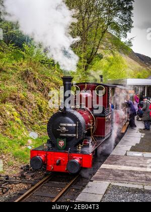 Dampflokomotive Nr. 2 Dolgoch auf der Talyllyn-Bahn nehmen Auf Passagiere am Bahnhof Abergnolwyn in Snowdonia Stockfoto