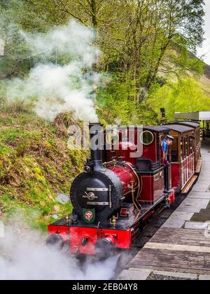 Dampflokomotive Nr. 2 Dolgoch auf der Talyllyn-Bahn abfahrend Vom Bahnhof Abergynolwyn in Snowdonia Stockfoto