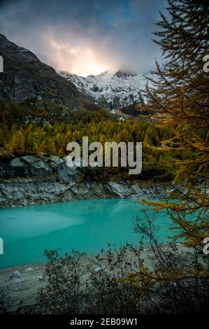 Sonnenuntergang Stimmung in freier Wildbahn Stockfoto