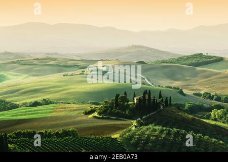 Toskana Landschaft bei Sonnenaufgang. Typisch für die Region Toskana, Hügel, Weinberge. Italien Stockfoto