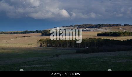 Blick über Wiesen und Wälder zu einem Prise Schnee bedeckt Sidbury Hill, Wiltshire Stockfoto