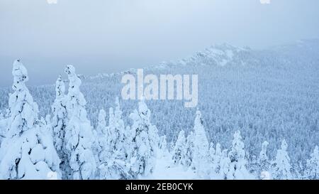Winterlandschaft des Schneehülls auf der Spitze des Hügels. Äste von Bäumen mit frostigen Ästen und Reif in frostigen Dunst Stockfoto