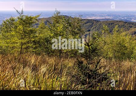 Panoramablick auf die nördlichen Beskiden mit Gancarz Gipfel gesehen Von Leskowiec Gipfel in Little Beskids Berge bei Andrychow in Kleinpolen Stockfoto