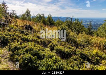 Panoramablick auf die nördlichen Beskiden mit Gancarz Gipfel gesehen Von Leskowiec Gipfel in Little Beskids Berge bei Andrychow in Kleinpolen Stockfoto