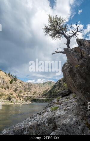 Pack Brücke über die Mittelgabel des Salmon River, Idaho. Stockfoto