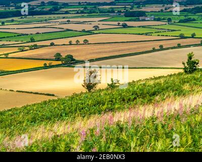 Landschaft mit Feldern und Bäumen scheinen von Roseberry Topping in der Nähe Great Ayton im North Yorkshire Moors National Park England VEREINIGTES KÖNIGREICH Stockfoto