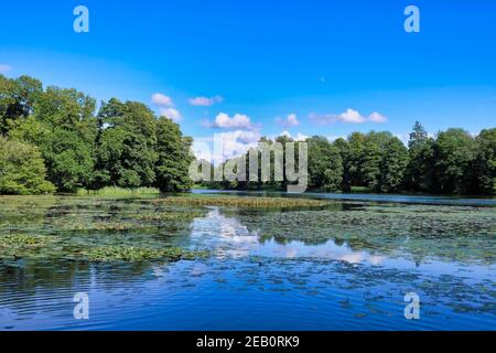 Blick über Eleven Acre Lake, National Trust Stowe, Buckinghamshire, England: Blauer Himmel Sommertag spiegelt sich im Wasser. Stockfoto