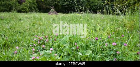 Hütte von Zweigen in Wäldern und verschwommen blühenden Wildblumen im Vordergrund. Spielplatz am Naturbanner. Kindheit natürlichen Lebensstil, einfache Freude, surd Stockfoto
