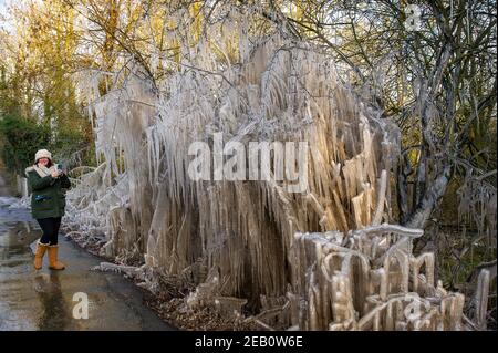 Iver, Buckinghamshire, Großbritannien. 11th. Februar 2021. Die Menschen machten Fotos und filmten Bäume neben einer Straße in Iver, die in einen magischen Eiszackenturm verwandelt wurden, da das vom vorbeifahrenden Verkehr aufgeworfene Hochwasser gefroren bleibt und wie ein Filmset aussieht. Die Temperaturen unter dem Nullpunkt sind so eingestellt, dass sie bis zu diesem Sonntag andauern. Quelle: Maureen McLean/Alamy Live News Stockfoto