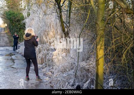 Iver, Buckinghamshire, Großbritannien. 11th. Februar 2021. Die Menschen machten Fotos und filmten Bäume neben einer Straße in Iver, die in einen magischen Eiszackenturm verwandelt wurden, da das vom vorbeifahrenden Verkehr aufgeworfene Hochwasser gefroren bleibt und wie ein Filmset aussieht. Die Temperaturen unter dem Nullpunkt sind so eingestellt, dass sie bis zu diesem Sonntag andauern. Quelle: Maureen McLean/Alamy Live News Stockfoto