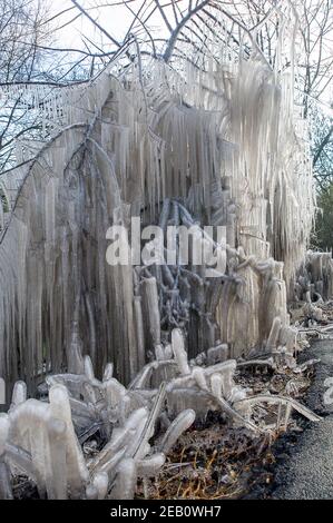 Iver, Buckinghamshire, Großbritannien. 11th. Februar 2021. Bäume neben einer Straße in Iver wurden in einen magischen Eiszackturm verwandelt, während das vom vorbeifahrenden Verkehr aufgeworfene Hochwasser gefroren bleibt und wie ein Filmset aussieht. Die Temperaturen unter dem Nullpunkt sind so eingestellt, dass sie bis zu diesem Sonntag andauern. Quelle: Maureen McLean/Alamy Live News Stockfoto