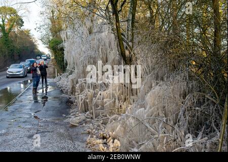 Iver, Buckinghamshire, Großbritannien. 11th. Februar 2021. Die Menschen machten Fotos und filmten Bäume neben einer Straße in Iver, die in einen magischen Eiszackenturm verwandelt wurden, da das vom vorbeifahrenden Verkehr aufgeworfene Hochwasser gefroren bleibt und wie ein Filmset aussieht. Die Temperaturen unter dem Nullpunkt sind so eingestellt, dass sie bis zu diesem Sonntag andauern. Quelle: Maureen McLean/Alamy Live News Stockfoto