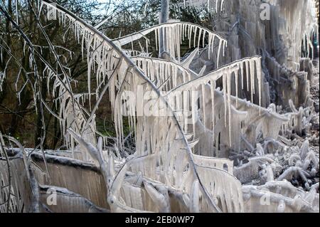 Iver, Buckinghamshire, Großbritannien. 11th. Februar 2021. Bäume neben einer Straße in Iver wurden in einen magischen Eiszackturm verwandelt, während das vom vorbeifahrenden Verkehr aufgeworfene Hochwasser gefroren bleibt und wie ein Filmset aussieht. Die Temperaturen unter dem Nullpunkt sind so eingestellt, dass sie bis zu diesem Sonntag andauern. Quelle: Maureen McLean/Alamy Live News Stockfoto