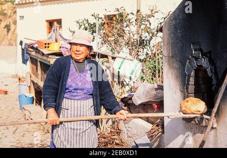 1992 Portugal Aljezur - Aljezur liegt an der Westküste der Algarve, im Naturpark Südwest-Alentejo und St. Vincent Coast und die Stadt selbst ist voll von Kopfsteinpflasterstraßen und typischen, kleinen weiß getünchten Häusern. Diese Dame nimmt frisch gebackenes Brot aus einem traditionellen Holzofen im Dorf Alzejur Algarve Bezirk Portugal EU Europa Stockfoto