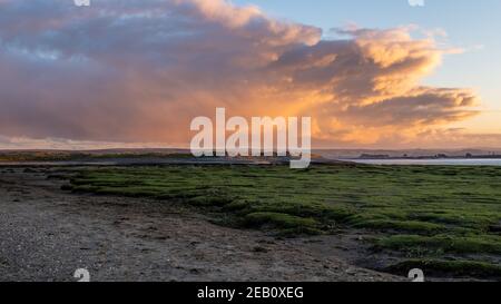 Wintersonnenaufgangslandschaft der Region Skern von Northam Burrows, in der Nähe von Appledore, North Devon. Stockfoto