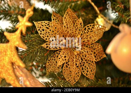 Goldene Weihnachtsblumendekoration auf einem Zweig im grünen Baum. Nahaufnahme, Vorderansicht Stockfoto