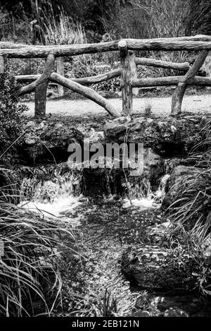 Schöne Brücke über den Bach in der Nähe von Daumesnil See in Vincennes Wald von Paris, Frankreich. Schwarz weiß historisches Foto Stockfoto