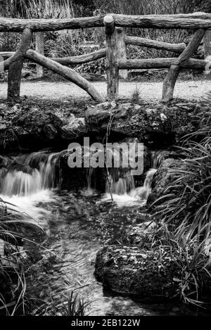 Schöne Brücke über den Bach in der Nähe von Daumesnil See in Vincennes Wald von Paris, Frankreich. Schwarz weiß historisches Foto Stockfoto