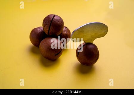 Ein paar Macadamianüsse liegen auf einem gelben Hintergrund. Ein Schlüssel zum Öffnen der Muttern wird in eine von ihnen eingesetzt. Stockfoto