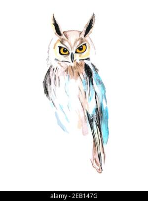 Handgezeichnete Aquarell bunte Illustration von Eule isoliert auf weißem Hintergrund. Stockfoto