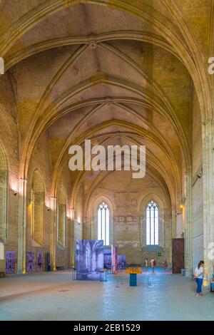 AVIGNON, FRANKREICH, 22. JUNI 2017: Touristen schlendern durch das Palais de Papes in Avignon, Frankreich Stockfoto