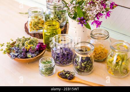 Startseite pflanzliche Apotheke Konzept. Viele verschiedene trockene pflanzliche Heilmittel Pflanzen ( Chamaenerion angustifolium, Achillea millefolium, Tilia platyphyllos. Stockfoto