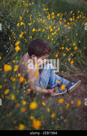 Kleiner Junge, der mit Steinen auf einem Feld von gelben Wildblumen spielt. Stockfoto