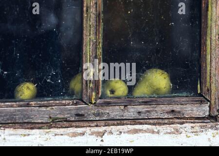 Altes Hausfenster mit Holzrahmen und grünen Birnen dahinter Glas Stockfoto