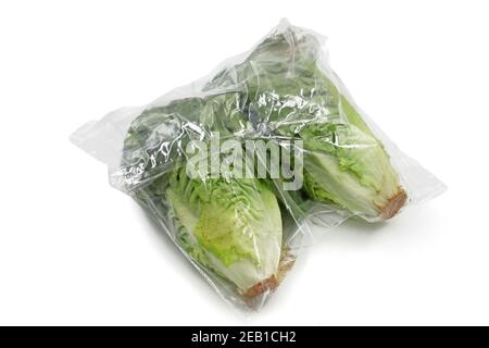 romaine Salat verpackt in einem Kunststoff isoliert auf weißem Hintergrund Stockfoto