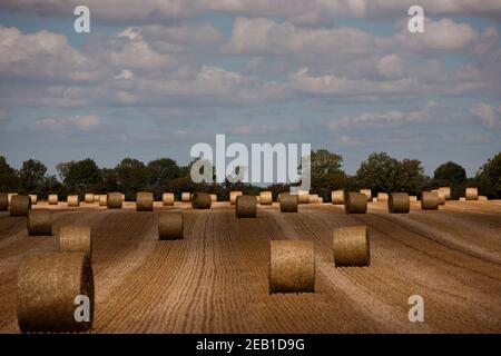 Heuballen im Querformat Stockfoto