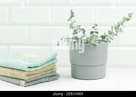 Baumwollhandtücher in neutralen Farben liegen auf einem Tisch in einem modernen Badezimmer. Daneben steht der Topf mit Eukalyptuszweigen Stockfoto