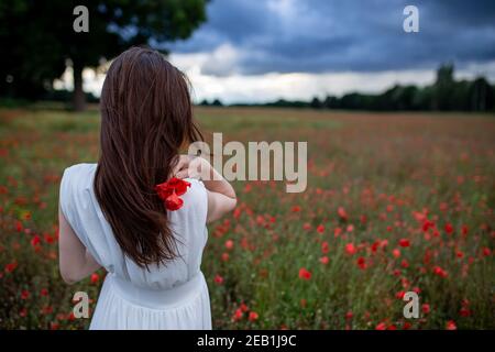 Eine schöne junge Frau in einem weißen Kleid geht herum Ein Feld mit Mohnblumen an einem schönen Sommerabend Stockfoto