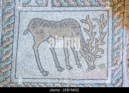 PLOVDIV, BULGARIEN, 24. JUNI 2018: Schöne Steinmosaiken in der kleinen Basilika in Plovdiv, Bulgarien Stockfoto