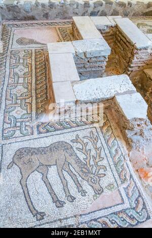 PLOVDIV, BULGARIEN, 24. JUNI 2018: Schöne Steinmosaiken in der kleinen Basilika in Plovdiv, Bulgarien Stockfoto