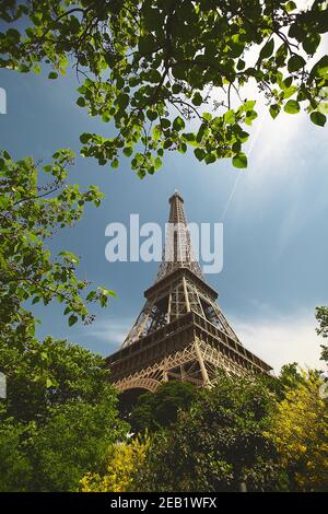 Eiffelturm unter den grünen Bäumen am Sommertag, Paris, Frankreich, 17. juni 2013 Stockfoto