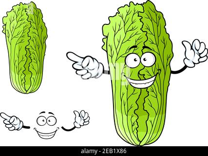 Cartoon gesunde grüne Blattgrün chinakohl Charakter mit niedlichen glücklich Gesicht und kleine Hände auf einem weißen ackground Stock Vektor