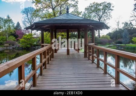 Holzpavillon auf Holzbrücke im japanischen Garten in Breslau, Polen Stockfoto