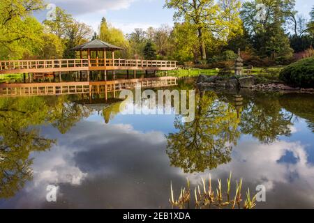 Holzpavillon auf Holzbrücke im japanischen Garten in Breslau, Polen. Teich und Insel mit Baumbestand Stockfoto