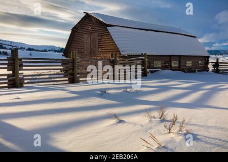 Yellowstone National Park, WY: Schatten der Corral Fence Line im Nachmittagslicht mit Holzscheune auf der Lamar Buffalo Ranch im Lamar Valley. Stockfoto