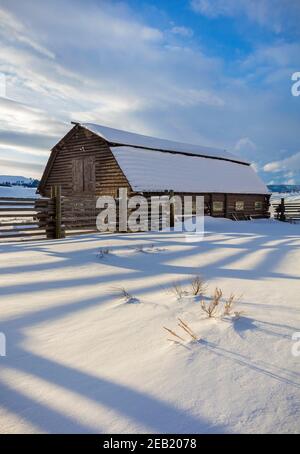 Yellowstone National Park, WY: Schatten der Corral Fence Line im Nachmittagslicht mit Holzscheune auf der Lamar Buffalo Ranch im Lamar Valley. Stockfoto