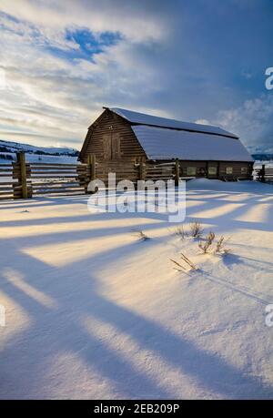 Yellowstone National Park, WY: Schatten der Corral Fence Line im Nachmittagslicht mit Holzscheune auf der Lamar Buffalo Ranch im Lamar Valley. Stockfoto