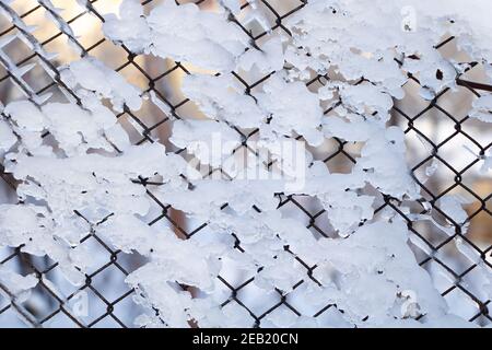 Eis auf dem Zaun aus der Nähe - im Prozess des Schmelzens. Winterkonzept. Stockfoto