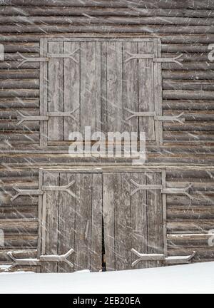 Yellowstone National Park, Wyoming: Schnee, der über die Stalltüren auf der Lamar Buffalo Ranch im Lamar Valley weht. Stockfoto