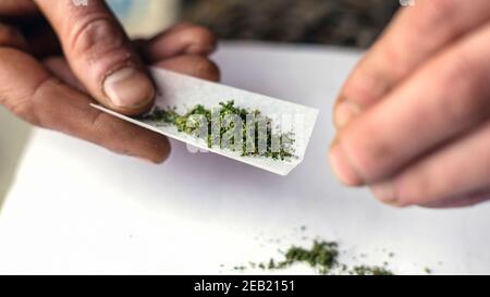 Verdrehen des Stampfes mit medizinischem Marihuana. Canabis-Behandlung aus der Nähe Stockfoto