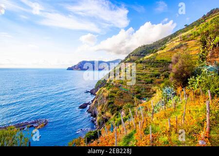 Landschaft von Bergküsten Feld von Vernazza, cinque terre in Italien Stockfoto