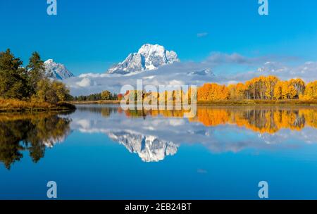 Grand Teton National Park, WY: Mount Moran in tiefen Wolken gehüllt, die sich mit herbstlichen Espen auf dem Oxbow des Snake River spiegeln Stockfoto