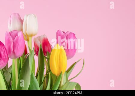 Schöne bunte Tulpen auf hellrosa Hintergrund mit Platz für Text kopieren. Entwurf für Grußkarte - Muttertag, Frauentag, 8. März oder Valentinstag Stockfoto